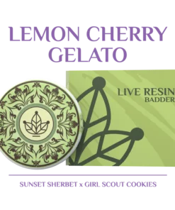 BOTANICAL GARDENS LEMON CHERRY GELATO – (SUNNSET SHERBET X GIRL SCOUT COOKIES) LIVE RESIN BADDER