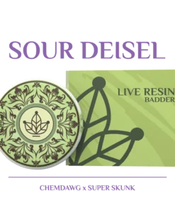 BOTANICAL GARDENS SOUR DEISEL – (CHEMDAWG X SUPER SKUNK) LIVE RESIN BADDER
