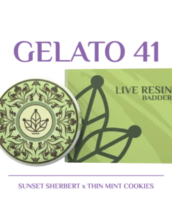 BOTANICAL GARDENS GELATO 41 – (SUNSET SHERBERT X THIN MINT COOKIES) LIVE RESIN BADDER