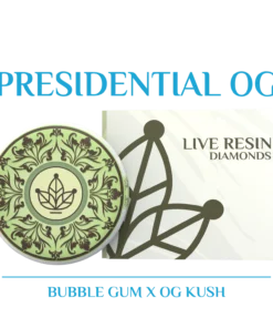 BOTANICAL GARDENS PRESIDENTIAL OG – (BUBBLE GUM X OG KUSH) LIVE RESIN DIAMONDS
