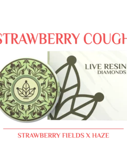 BOTANICAL GARDENS STRAWBERRY COUGH – (STRAWBERRY FIELDS X HAZE) LIVE RESIN DIAMONDS