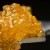 botanical gardens premium extracts